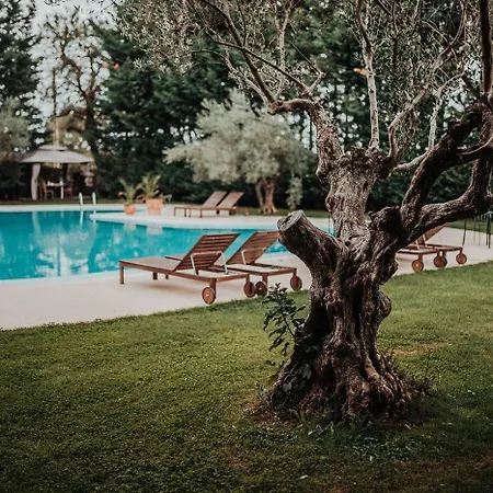 Lejlighedshotel Lav 3*