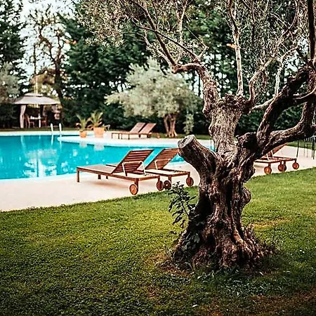Lav Aparthotel 3*
