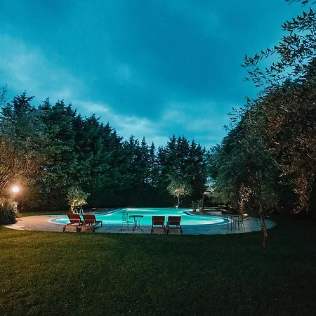 لاف